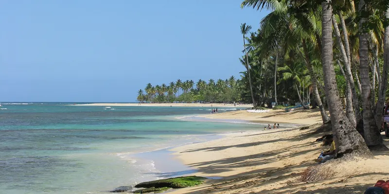 Palm-fringed beach in Las Terrenas