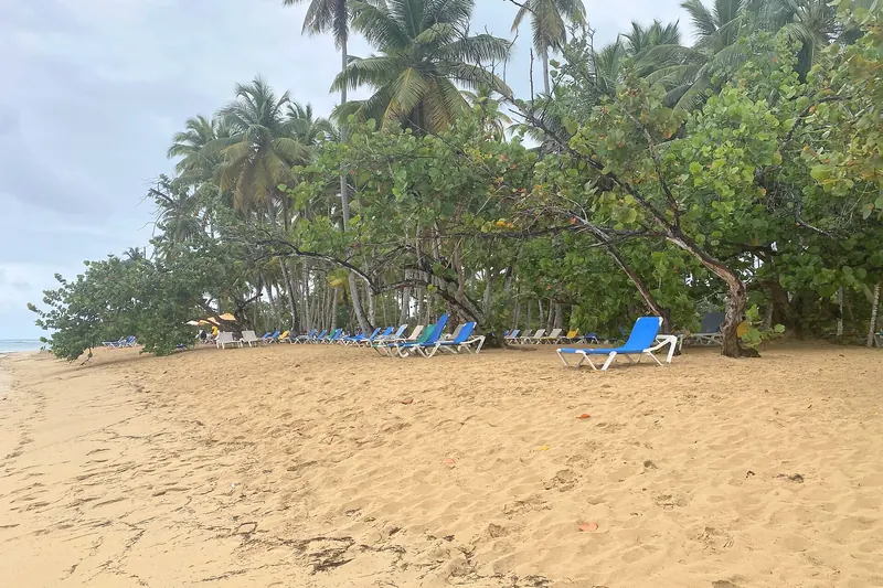 Plage de Punta Popy, Las Terrenas